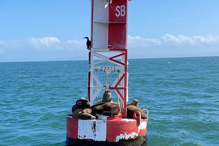 a small boat in a body of water